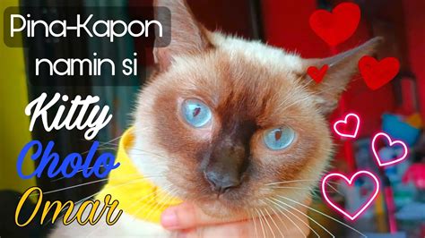 Nagsarili si Kitty .